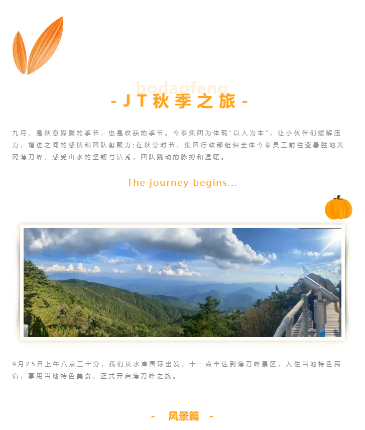 秋天了，來一場成年人的秋游吧(圖1)