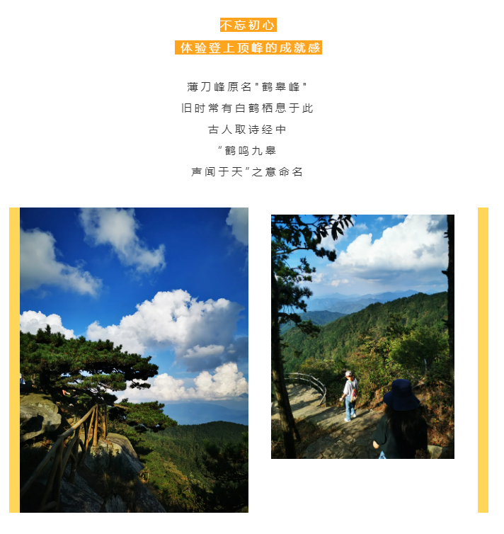 秋天了，來一場成年人的秋游吧(圖2)