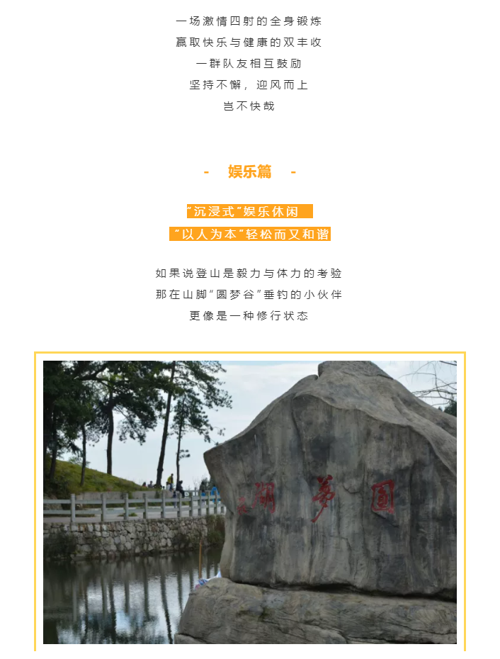 秋天了，來一場成年人的秋游吧(圖4)
